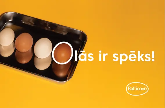 <p>LIELĀS OLU MEDĪBAS RĪGĀ&nbsp;</p>