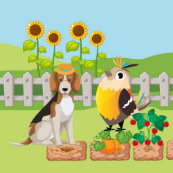 12. Mazdārziņa biedēkļi