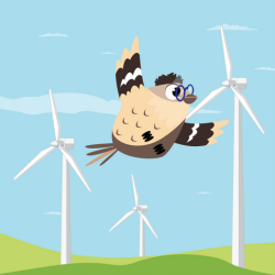 18. Kā saule un vējš palīdz planētai