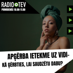 38. APĢĒRBA IETEKME UZ VIDI