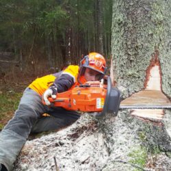 25. Profesionāls kokgāzējs | Pēteris Ķepītis