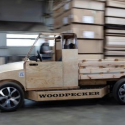 31. PASAULĒ PIRMAIS KOKA PAŠBRAUCOŠAIS ELEKTROAUTO