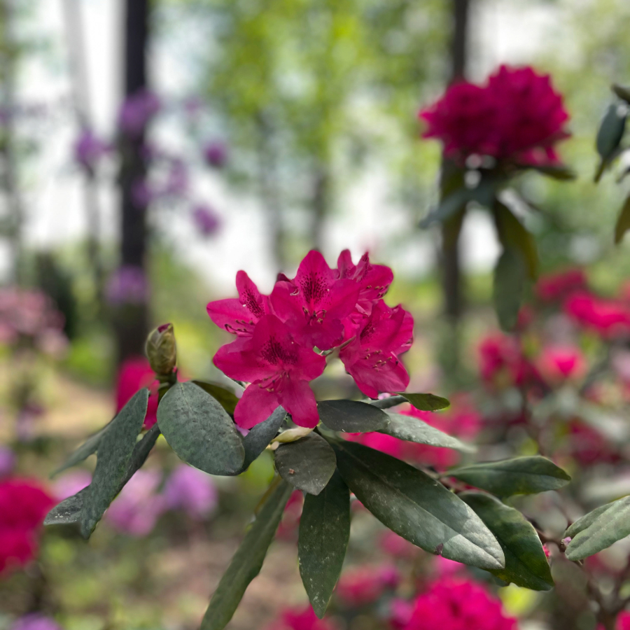 <p>Otrdiena aizritēs ar mainīgu mākoņu daudzumu</p>