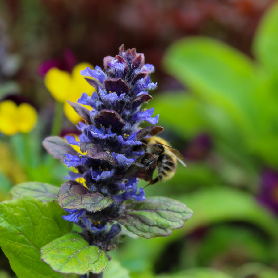 <p>Tre&scaron;dien gandrīz visā valsts teritorijā palaikam līs</p>