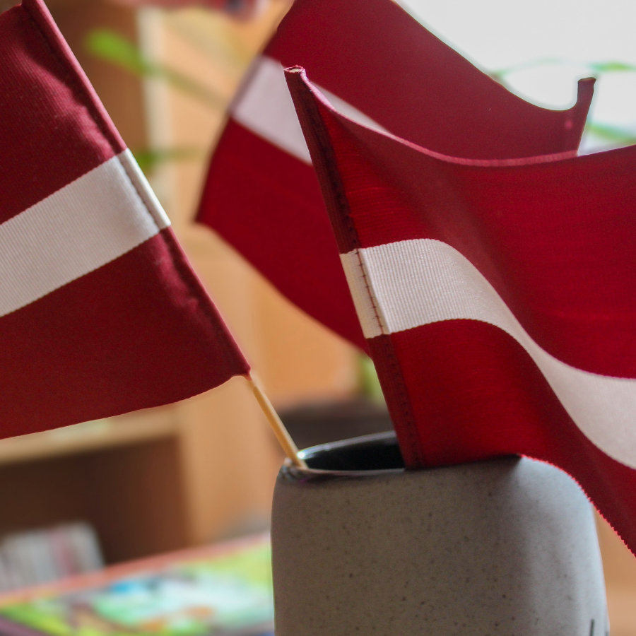 <p>Pa&scaron;valdību deputātu vidējais statistiskais portrets - izglītots pusmūža vīrietis</p>