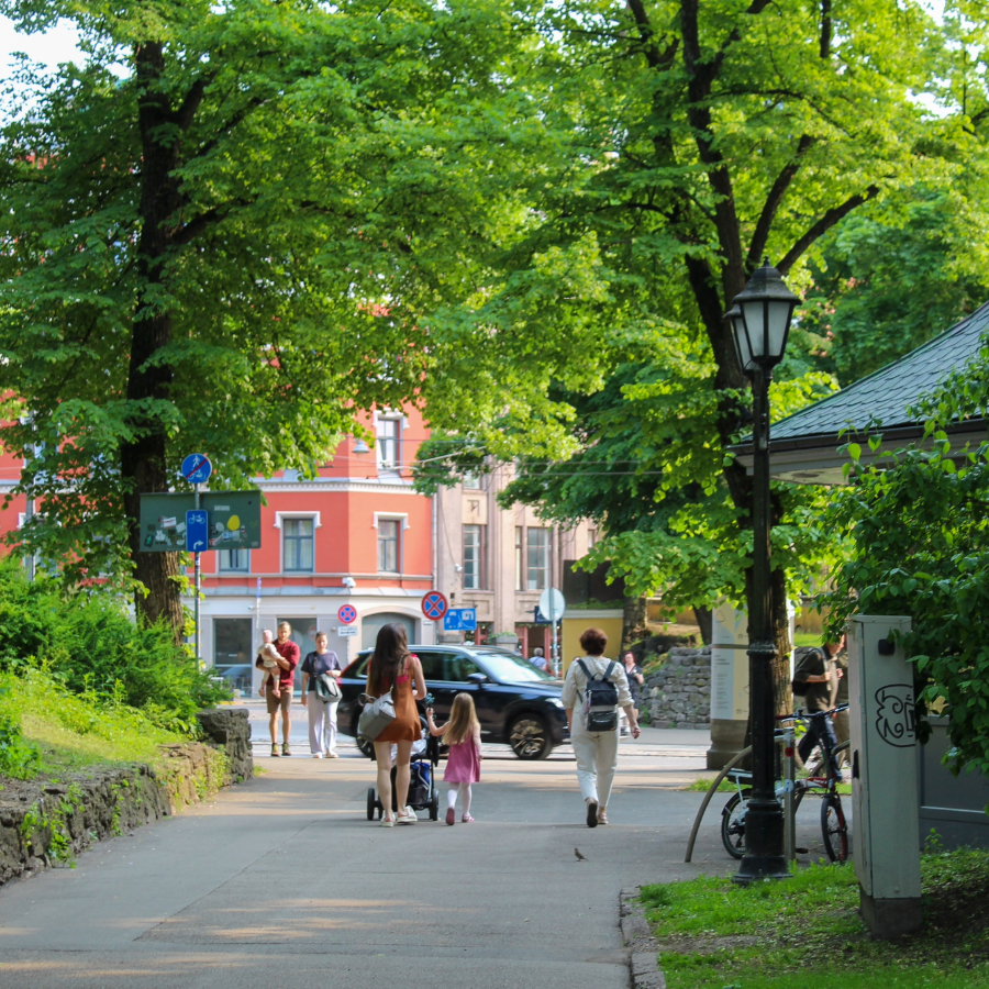 <p>Lems par divām papildu brīvdienām</p>