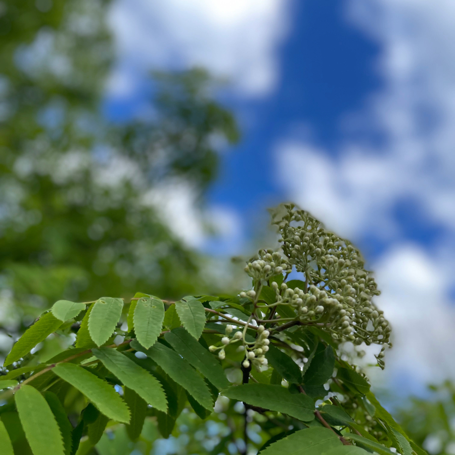 <p>Tre&scaron;diena būs saulaina un silta</p>