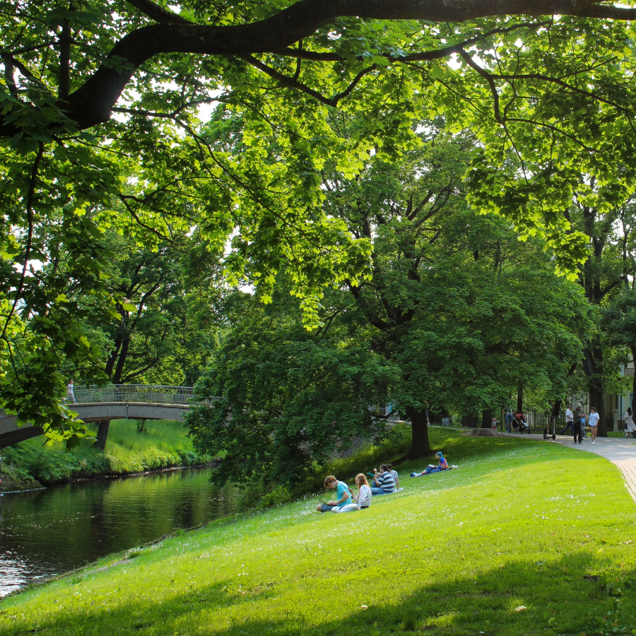 <p>Jūlija pirmā diena Latvijā saulaina un vējaina</p>