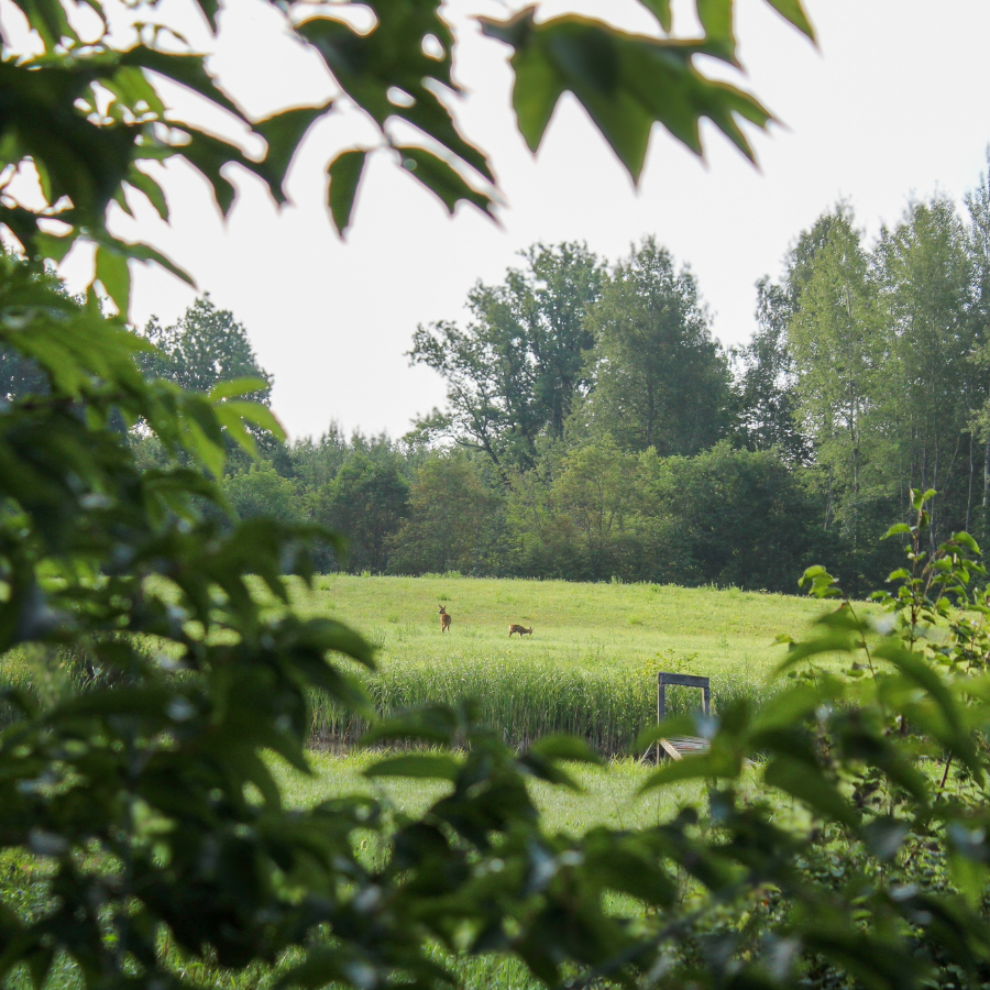 <p>Nedēļas vidū gaisa temperatūra Latvijā sasniegs +30 grādus</p>