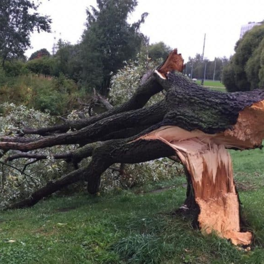 <p>Iedzīvotāji aicināti netuvoties bojātām elektrolīnijām</p>