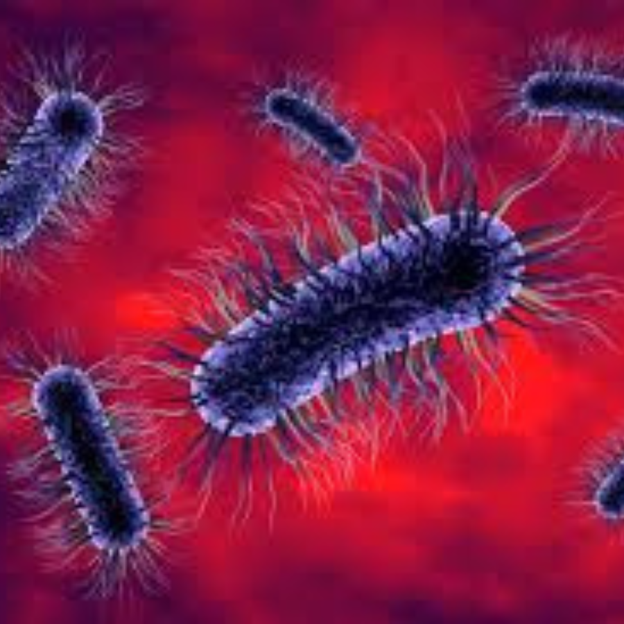 <p>&nbsp;E.coli infekcijas avots bijis "Straupe" produkcijas lieto&scaron;ana</p>