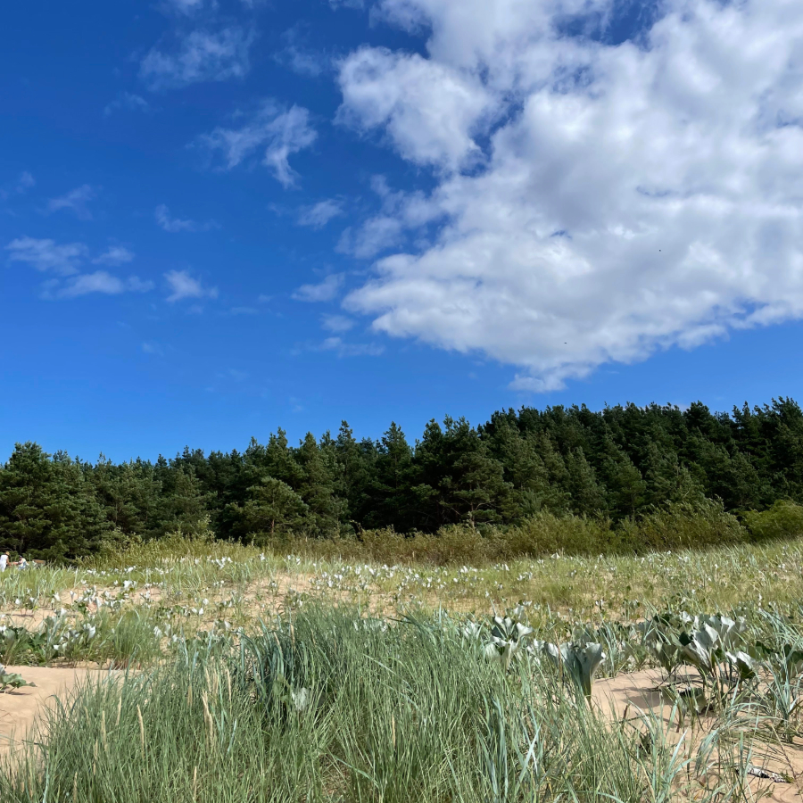 <p>Augusta otrā puse Latvijā gaidāma vēsa</p>