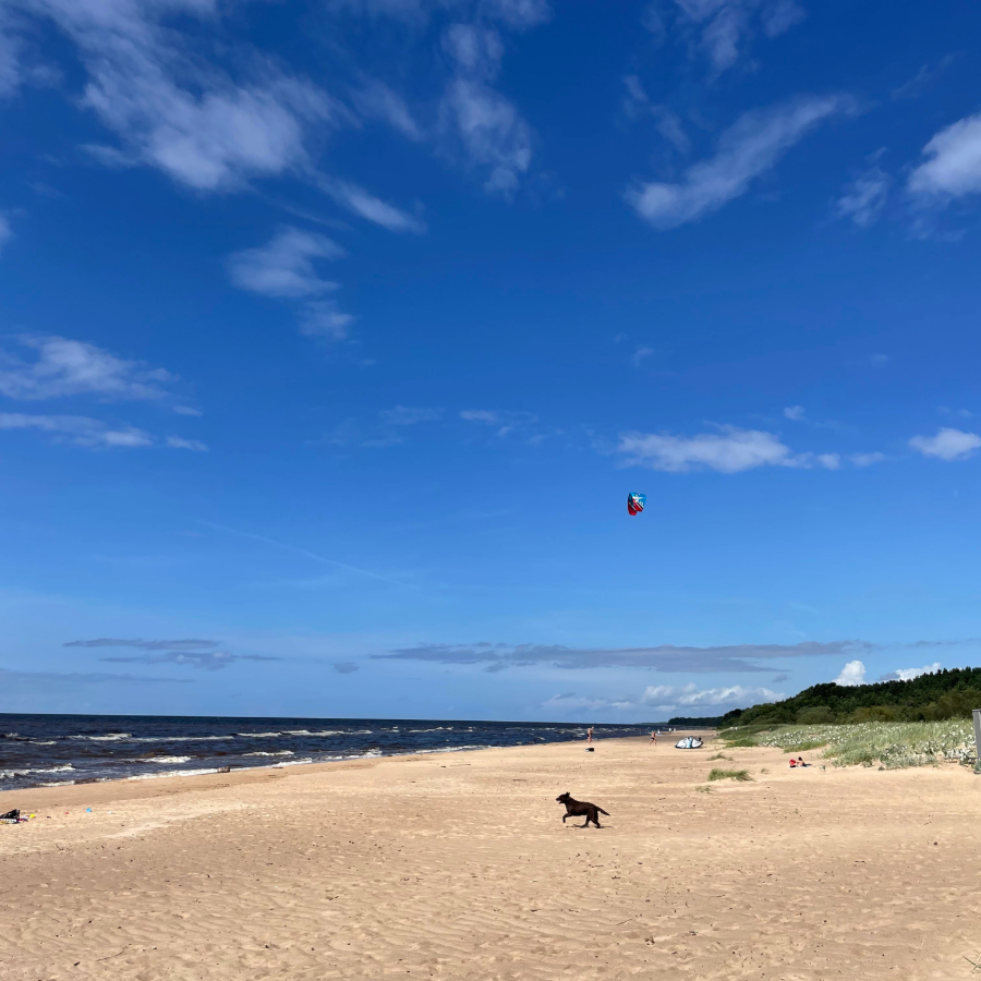 <p>Augusta sākums Latvijā vēsāks un mitrāks par normu</p>