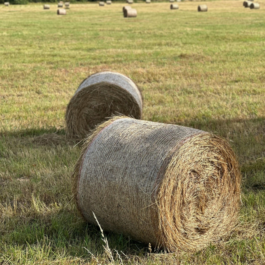 <p>Valdība &scaron;odien varētu lemt par ārkārtējās situācijas izsludinā&scaron;anu lauksaimniecībā&nbsp;</p>