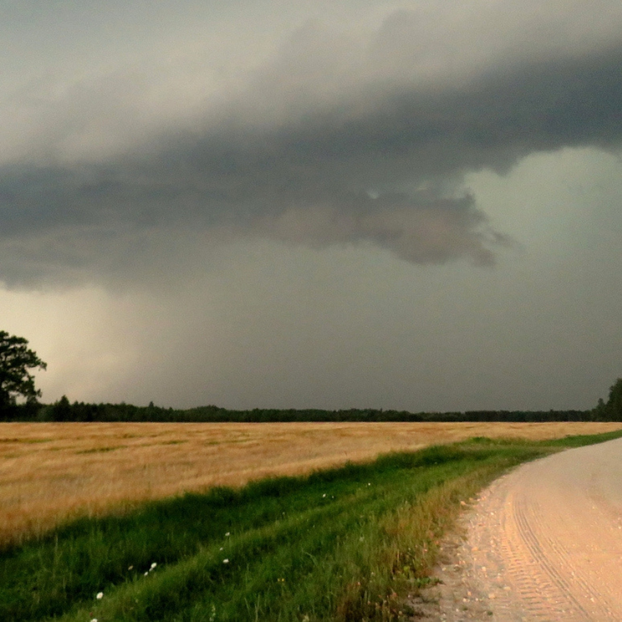 <p>Zemkopības ministrija virza pieprasījumu līdz novembrim Latvijā izsludināt ārkārtējo situāciju lauksaimniecībā</p>