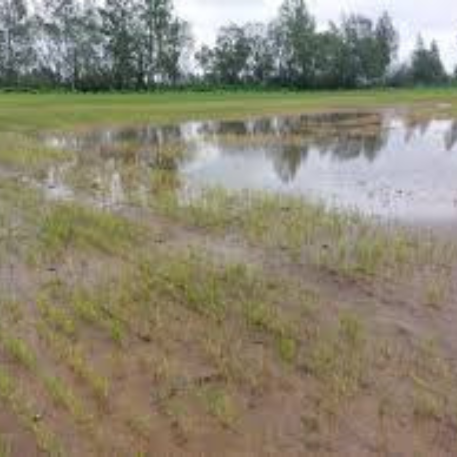 <p>Krauze: Lietavu skartajās teritorijās jāizsludina ārkārtējā situācija</p>