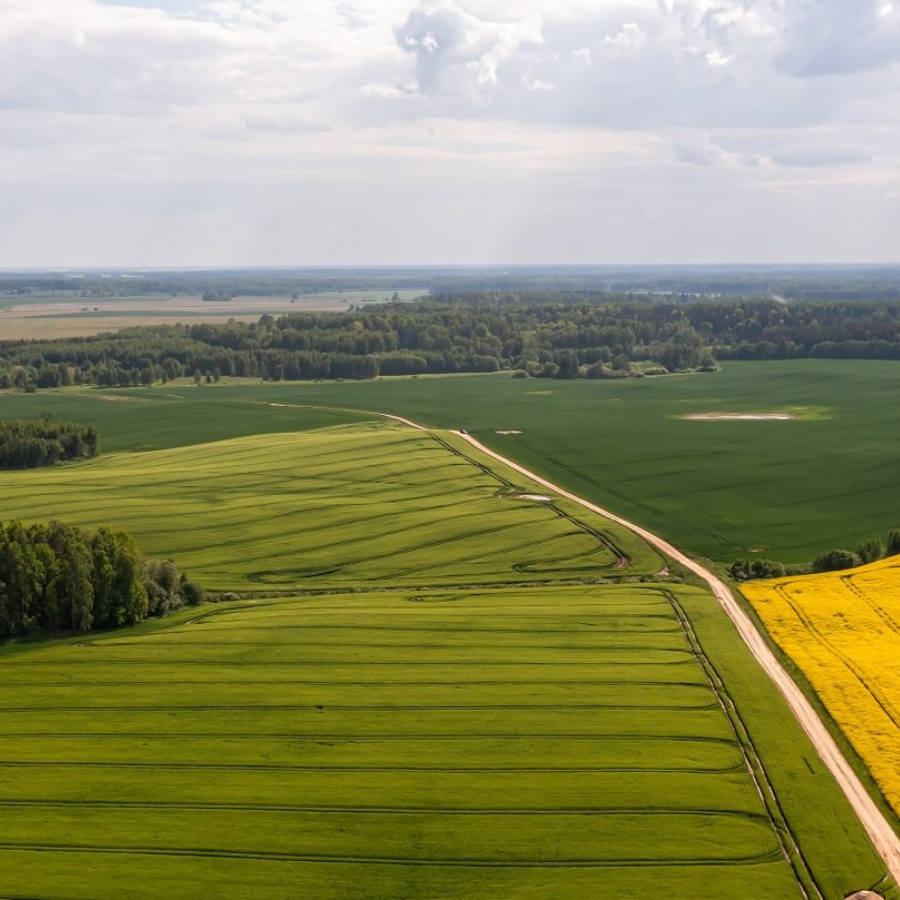 <p>Valdība līdz novembrim Latvijā izsludina ārkārtējo situāciju lauksaimniecībā</p>