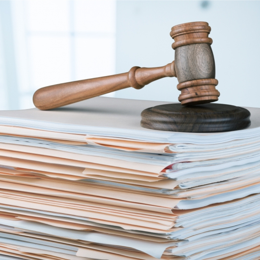 <p>Pasludinās spriedumu organizācijas "Gribu palīdzēt bēgļiem" darbinieces krimināllietā</p>