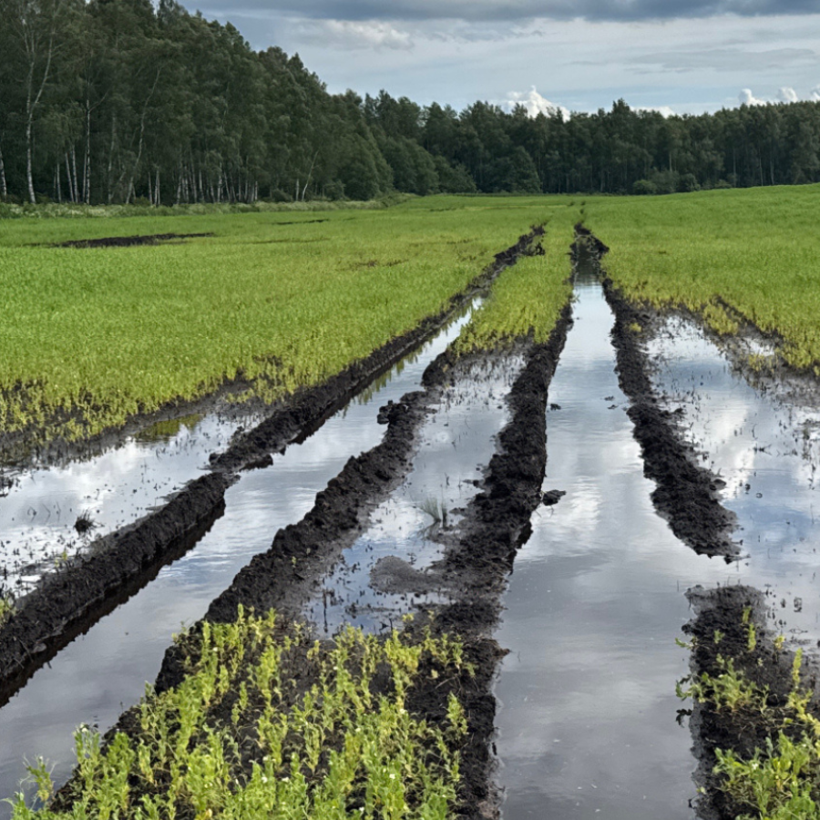 <p>VID aicina lauksaimniekus pieteikties nodokļu samaksas termiņa pagarinājumam</p>