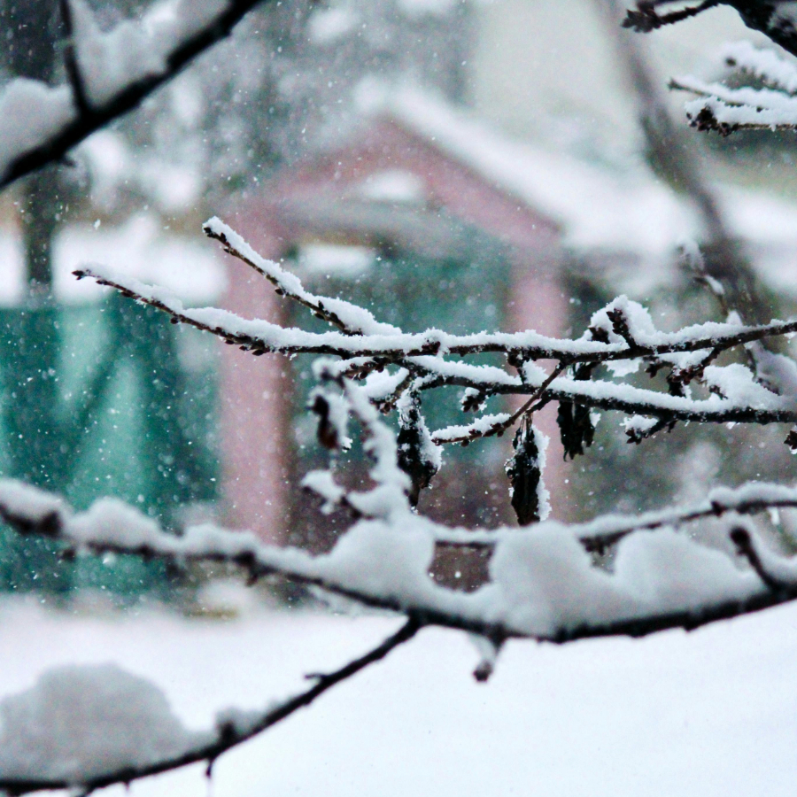 <p>Kurzemē plosās sniega vētra</p>