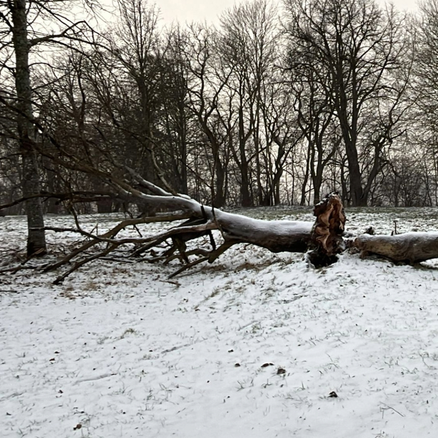 <p>Aizvadītajā diennaktī saņemti 13 izsaukumi uz vēja radīto postījumu likvidē&scaron;anu</p>