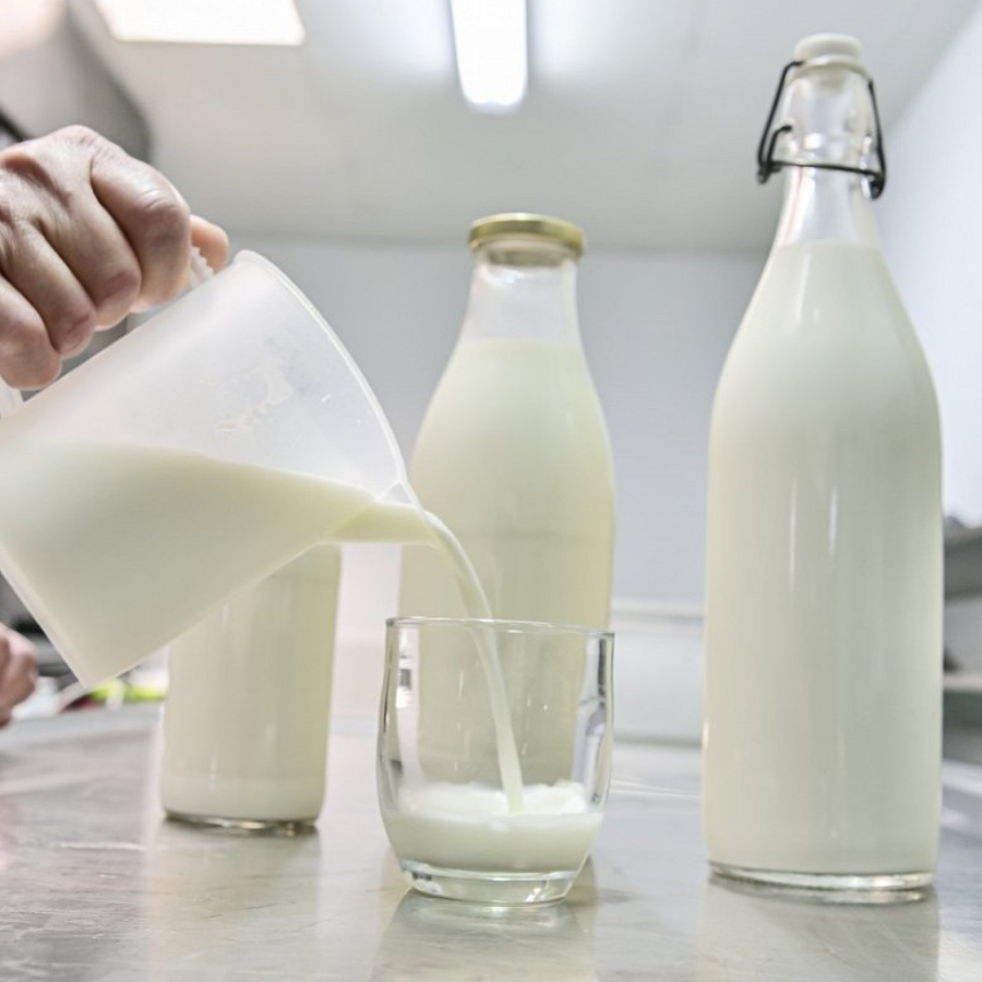 <p>Ķīna ievie&scaron; nodevas ES piena produktu importam</p>