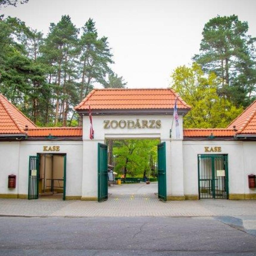 <p>Nedēļas beigās sāksies Ziemas naktis Rīgas zooloģiskajā dārzā</p>