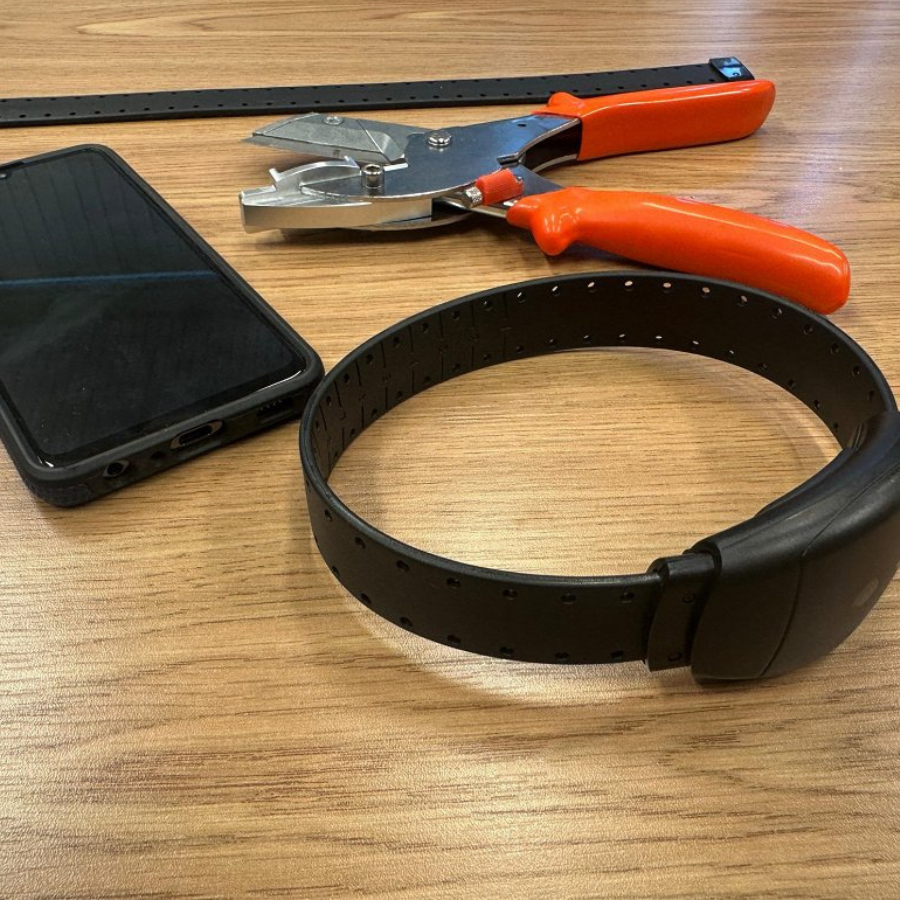 <p>Nākotnē elektronisko uzraudzību varētu piemērot vēl pla&scaron;āk</p>