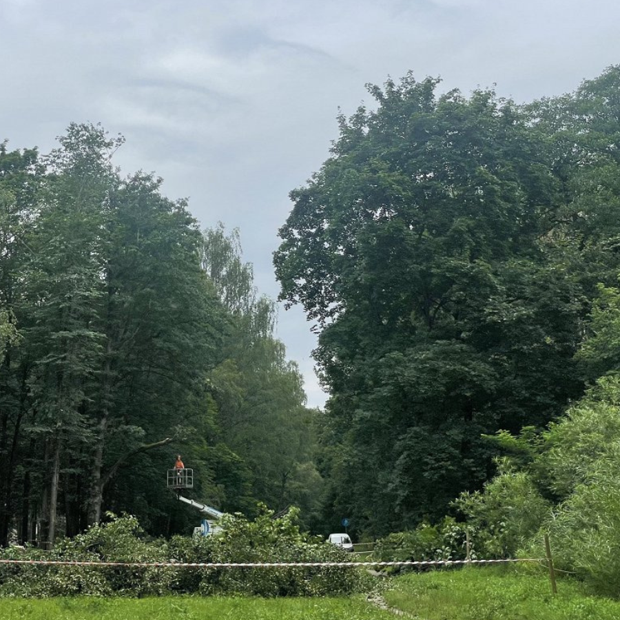 <p>Atbalsta cērtamo koku daudzuma samazinā&scaron;anu veloceļa būvniecībai</p>