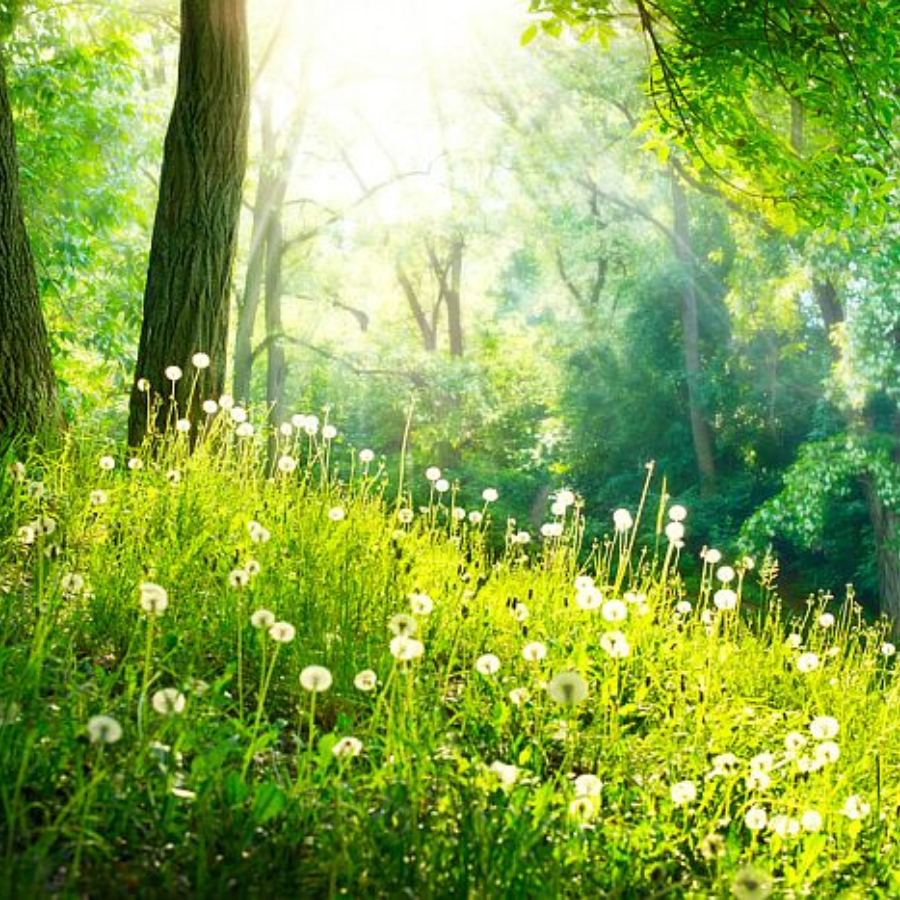 <p>Nedēļas nogale Latvijā būs mēreni silta un visai saulaina</p>