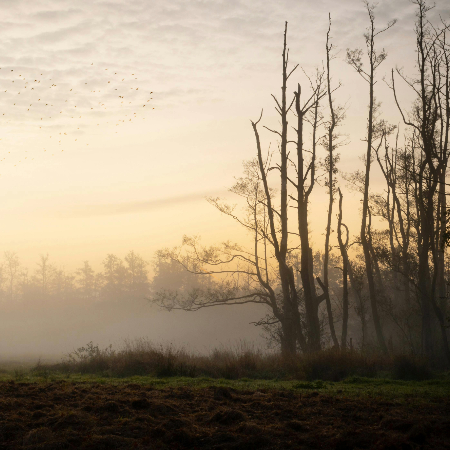 <p>Latvijā gaidāma mākoņaina un silta nedēļa</p>