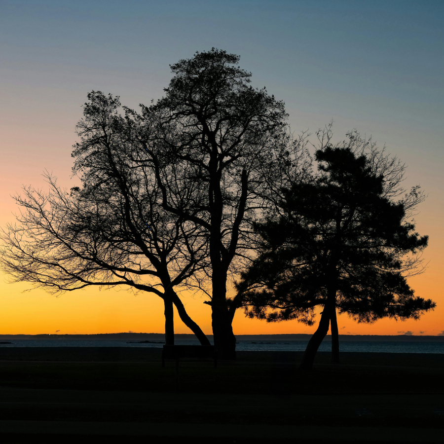 <p>Valsts svētku nedēļā rudens saglabāsies salīdzino&scaron;i silts</p>