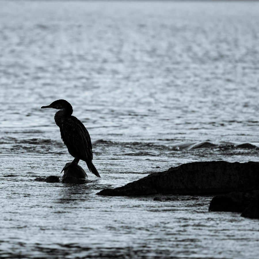 <p>Sākas gada tum&scaron;ākie trīs mēne&scaron;i</p>