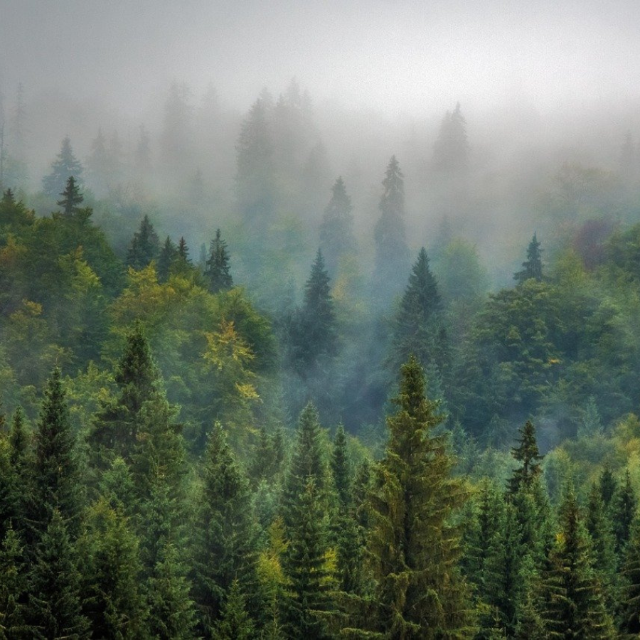 <p>Pasaules klimata konference nav devusi gaidīto tālākās rīcības plānu</p>
<p>&nbsp;</p>