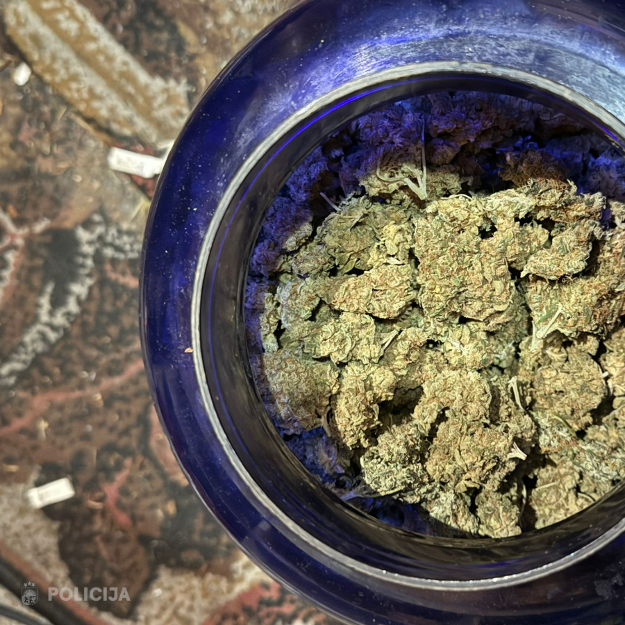 <p>Valsts policija aiztur lielāko narkodīleru grupu &scaron;ogad</p>