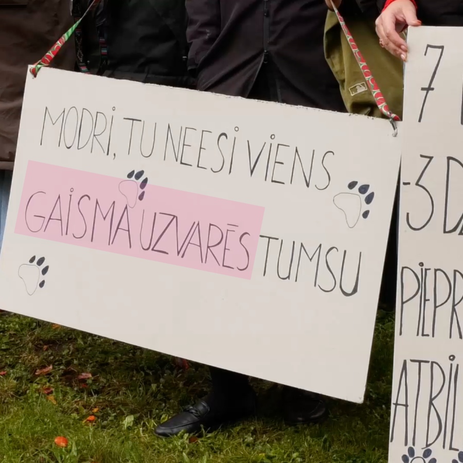 <p>Notiks otrs protests Bauskas novadā no&scaron;auto suņu lietā</p>