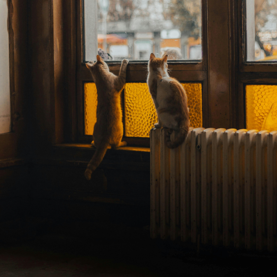 <p>&ldquo;Rīgas namu pārvaldnieks&rdquo; sāk apkures sezonu</p>