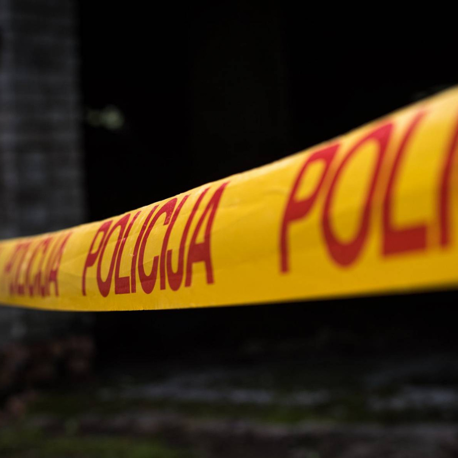 <p>&Scaron;ogad notiku&scaron;ajā traģēdijā Pļavniekos zēni biju&scaron;i vieni un piekļuvu&scaron;i pieaugu&scaron;ā personīgajam ierocim</p>