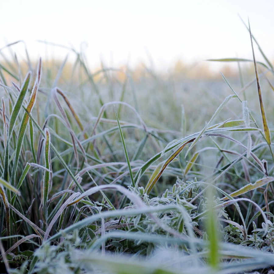 <p>Tuvākās dienas būs saulainas, naktīs temperatūra noslīdēs zem nulles</p>
