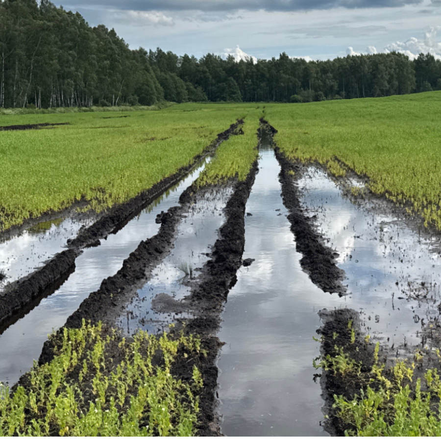 <p>Aicina lauksaimniekus turpināt ziņot par nelabvēlīgajos laika apstākļos cietu&scaron;ajām platībām</p>