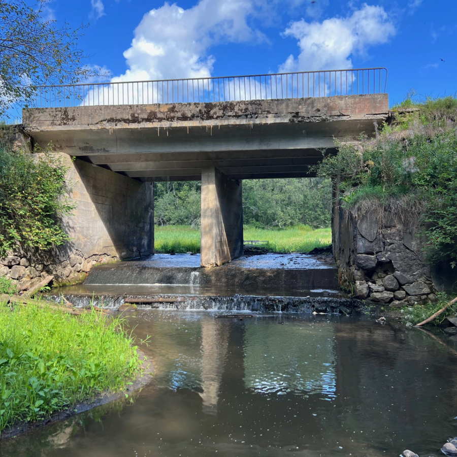 <p>Bejas bambja demontāža - unikāla Latvijā, ievērota Eiropā</p>