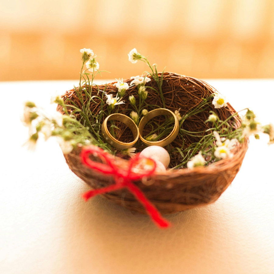 <p>Valsts kontrole: Pa&scaron;valdību noteiktie atvieglojumi bieži nav pietiekami pamatoti</p>