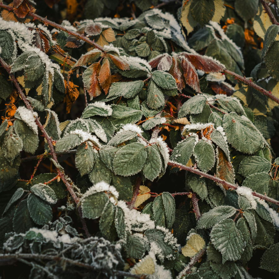 <p>Mēne&scaron;a beigās gaisa temperatūra var noslīdēt zem nulles</p>