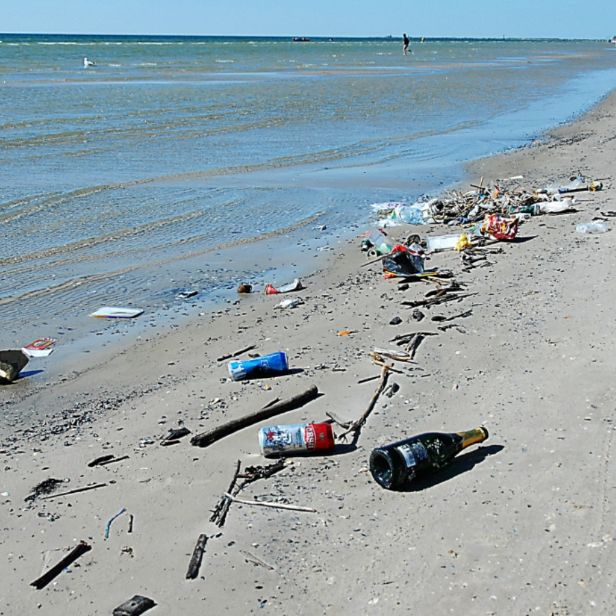 <p>Pasaules talkas dienā aicina stādīt kokus, attīrīt ūdenstilpnes un piekrastes</p>
