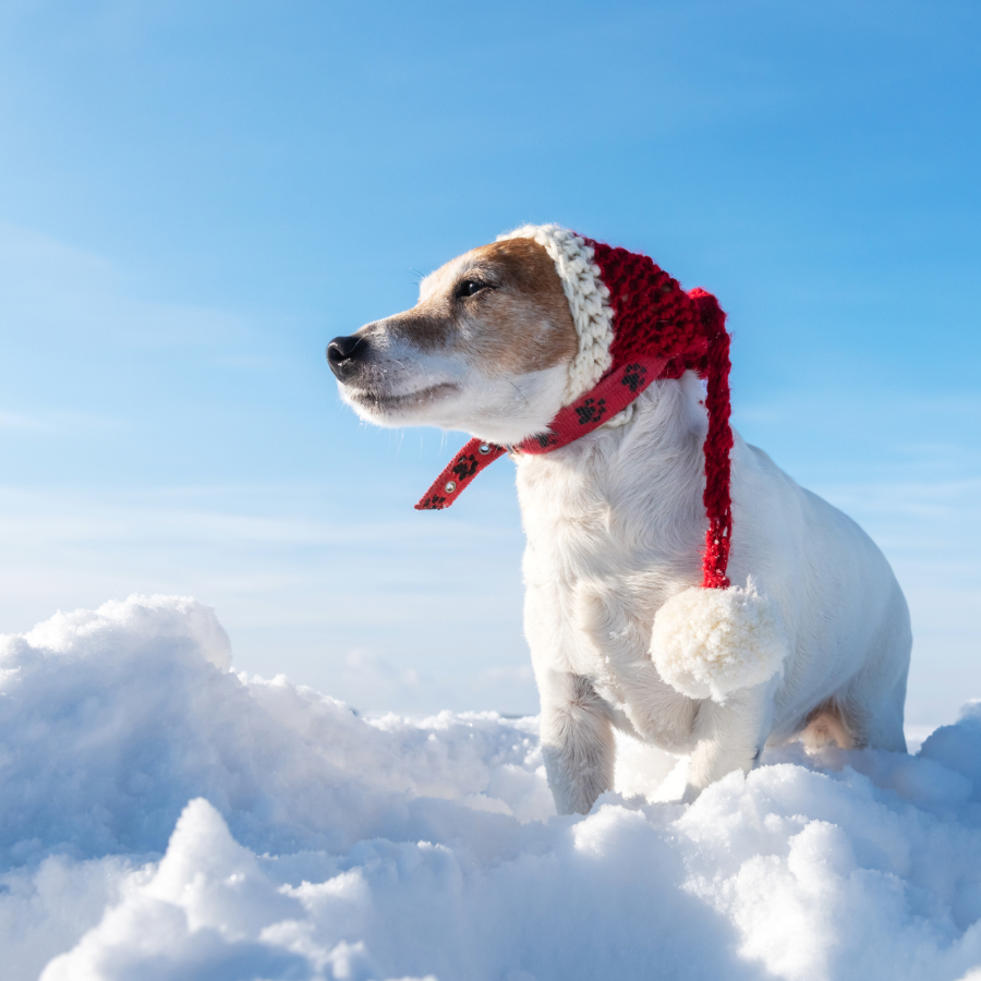 <p>Zemakā gaisa temp &scaron;orīt Eiropā -32 grādi Daugavpilī</p>