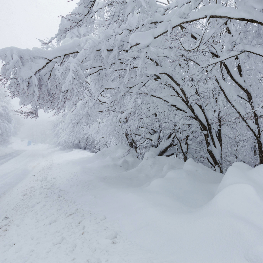 <p>Nedēļas otrajā pusē Latgalē sniega dziļums var pārsniegt pusmetru</p>