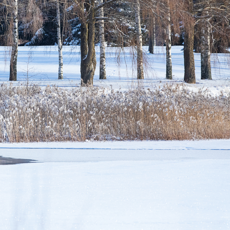 <p>Ekologs: Dīķos pastāv risks zivju noslāp&scaron;anai</p>
<p>&nbsp;</p>