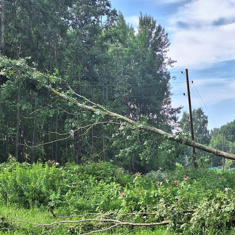 <p>"Sadales tīkls" novērsis 80 pērkona negaisa izraisītus elektrotīkla bojājumus</p>