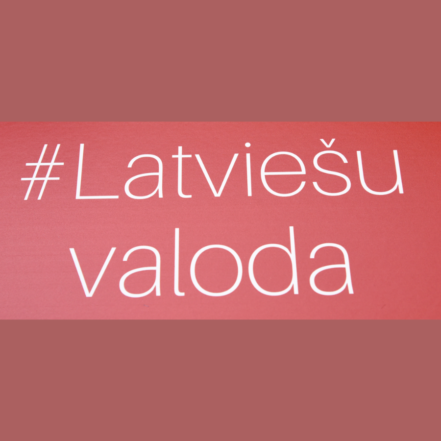 <p>Diskutēs par vienotas latvie&scaron;u valodas apguves sistēmas izveidi</p>
