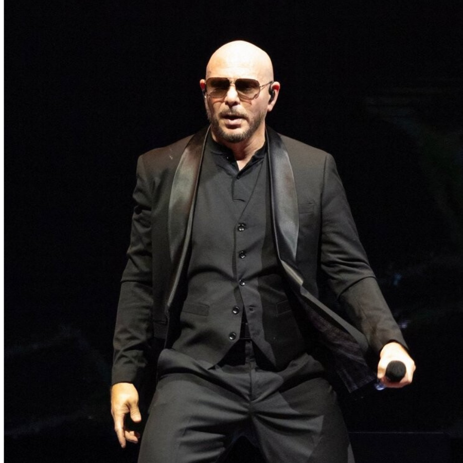 <p>Valainis: Pastāv vēl iespēja, ka "Pitbull" koncertu varētu pārcelt</p>